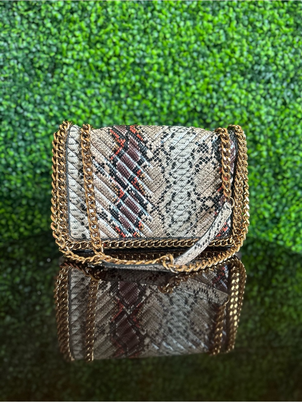 Aldo Multicolor Snake-Print Crossbody with Gold Chain